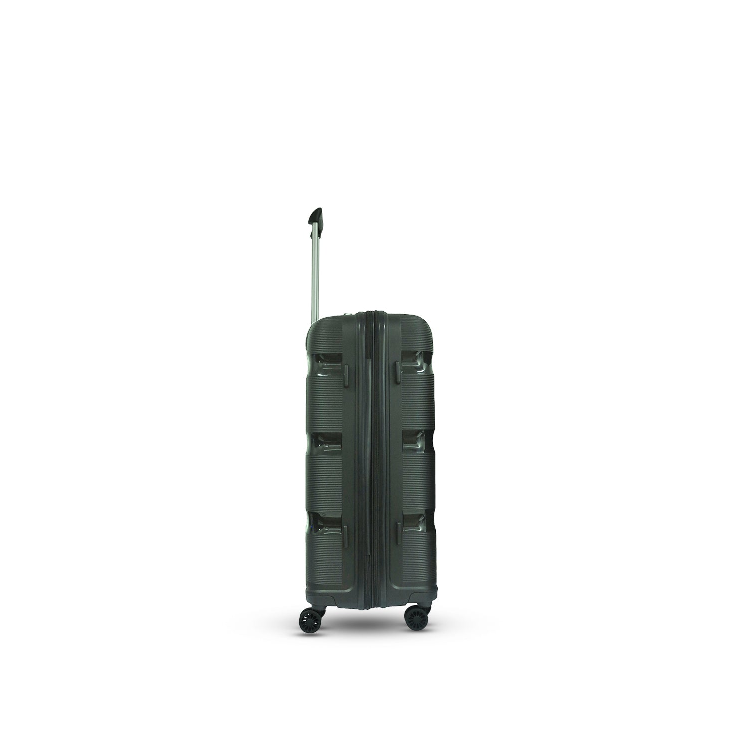 BADEN Thick Grove Hard Case Luggage (Black)