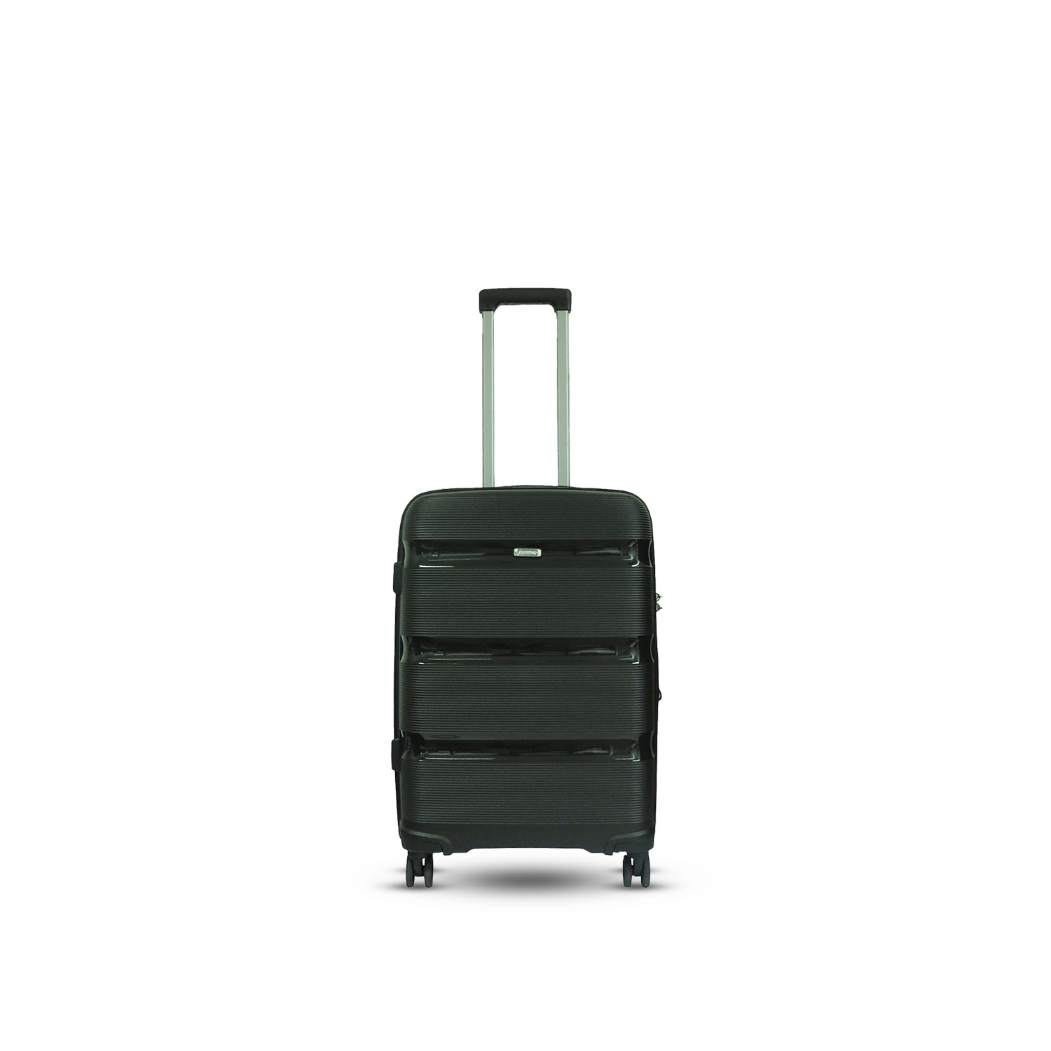 BADEN Thick Grove Hard Case Luggage (Black)