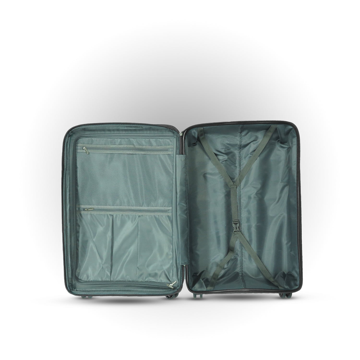 BADEN Thick Grove Hard Case Luggage (Black)