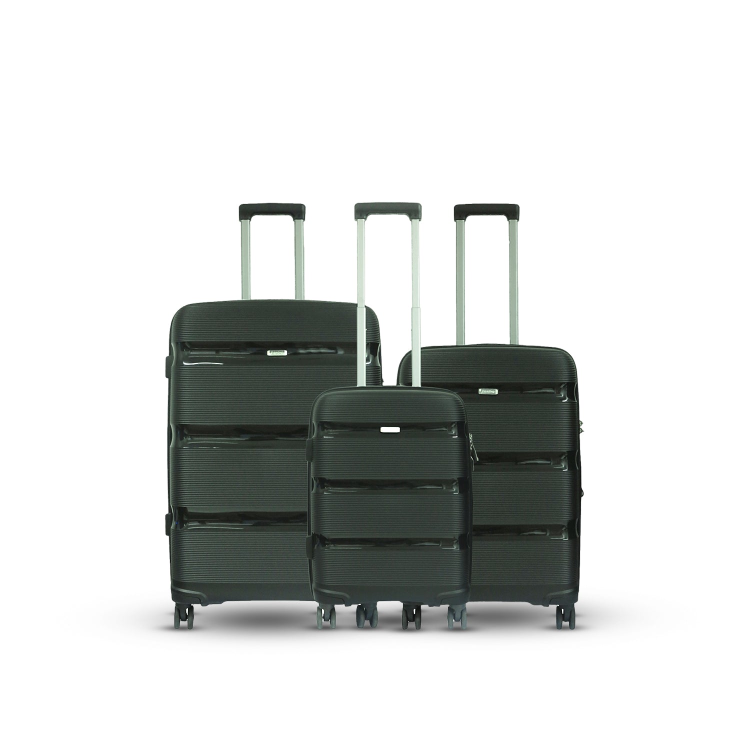 BADEN Thick Grove Hard Case Luggage (Black)